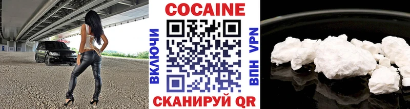 закладки  Дмитровск  COCAIN FishScale 