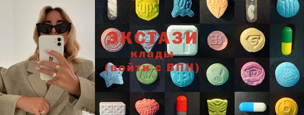 ECSTASY Горняк