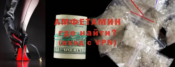 ECSTASY Горняк