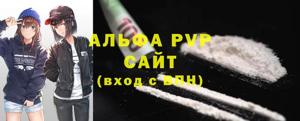 ECSTASY Горняк