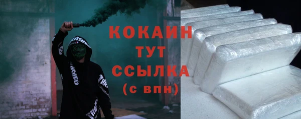 ECSTASY Горняк