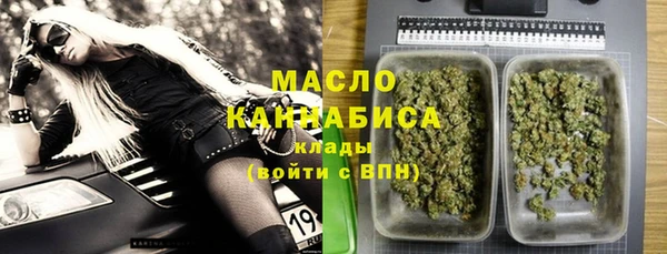 ECSTASY Горняк