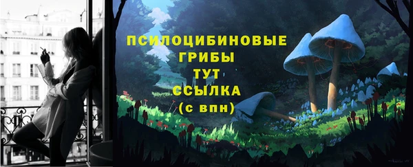 соль курить ск Горнозаводск