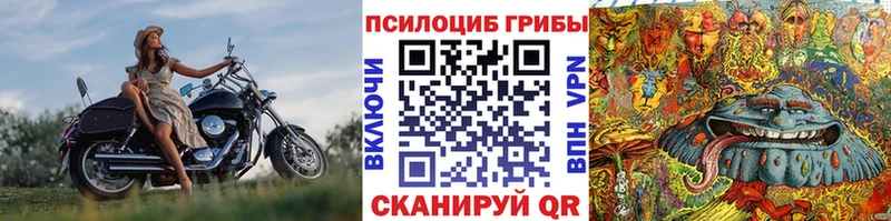 Галлюциногенные грибы Psilocybine cubensis  где можно купить   Дмитровск 